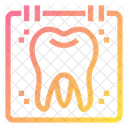 Dental Checkup  Icon
