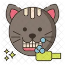 Dental Cleaning  Icon