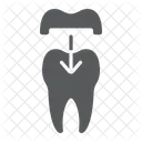 Tooth Stomatology Dental Icon