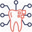 Dental Diagnostics Dental Tooth Icon