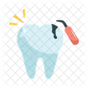 Care Tooth Dental Icon