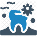 Dental Germ  Icon