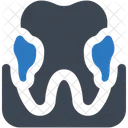 Dental Gum Gum Problem Icon