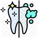 Dental Hygiene Hygiene Tooth Icon