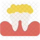 Dental Dental Care Molar Icon