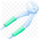 Dental Tooth Dentist Icon