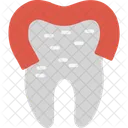 Dental Dental Treatment Dentist Icon