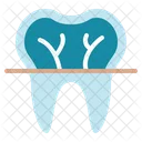 Xray Medical Healthcare Icon