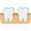 Dental Dentist Dentistry Icon