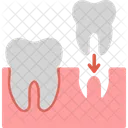 Dental Implants Denture Icon