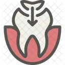 Dental Dentist Tooth Icon