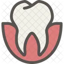 Dental Dentist Tooth Icon