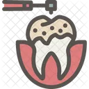 Dental Dentist Tooth Icon