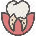 Dental Dentist Tooth Icon
