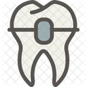 Dental Dentist Tooth Icon