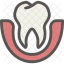 Dental Dentist Tooth Icon