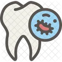 Dental Dentist Tooth Icon