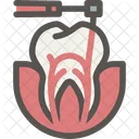 Dental Dentist Tooth Icon