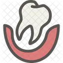 Dental Dentist Tooth Icon