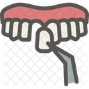Dental Dentist Tooth Icon