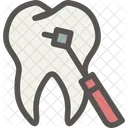 Dental Dentist Tooth Icon