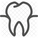 Dental Dentist Tooth Icon