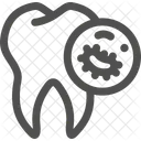 Dental Dentist Tooth Icon
