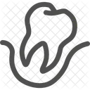 Dental Dentist Tooth Icon