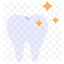 Dental Tooth Dentist Icon
