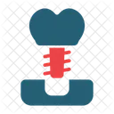 Dental Implant Tooth Teeth Icon