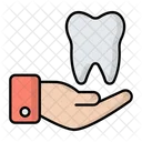 Dental Insurance  Icon