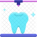 Mdental Models Dental Models Teeth Icon