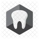 Dental Models Dental Models Teeth Icon
