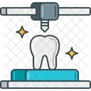 Dental Models Icon