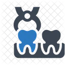Dental Operation Extract Operation Icon