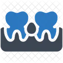 Dental Parodontosis Gum Parodontosis Icon