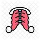 Dental Plate Color Icon