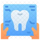 Dental Record Report Data Icon