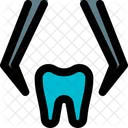 Dental Removal  Icon