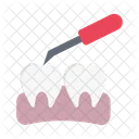 Oral Checkup Dental Icon