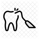 Dental Treatment Dental Care Dentist Icon