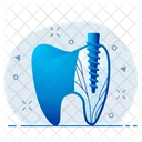 Dental Treatment  Icon