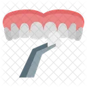 Dental Veneers Dentist Mouth Icon