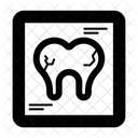 Dental X-Ray  Icon
