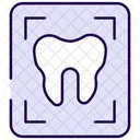 Dental X Ray Dental Teeth Icon