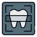 Dental X Ray Icon