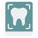 Dental Structure Clinical Skills Patient Care Icon