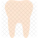 Dente Saude Cuidado Icon