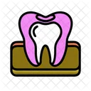 Dente Medico Saude Icon