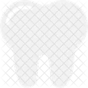 Molar Dente Humano Icon